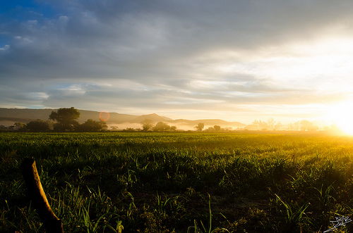 En verano especialmente, el aprovechamiento de luz natural ayuda a ahorrar energía. Foto: Dannyqu (Flickr) (CC BY-SA 2.0) 11537779456_e87ec84a0e